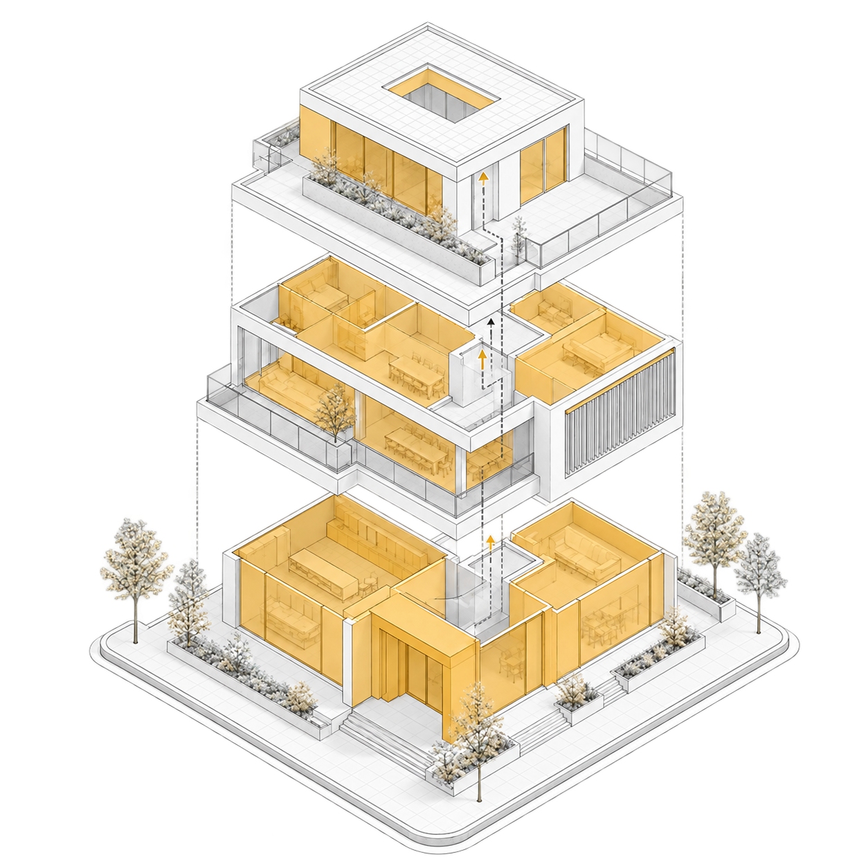 Spatial programme study
